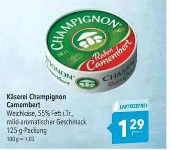 CITTI Markt Käserei Champignon Camembert Angebot