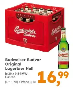 Globus Baumarkt Budweiser Budvar Original Lagerbier Hell Angebot