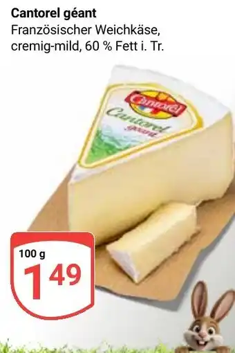 Globus Cantorel géant Angebot