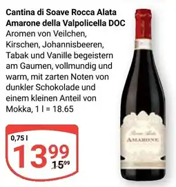 Globus Cantina di Soave Rocca Alata Amarone della Valpolicella DOC Angebot