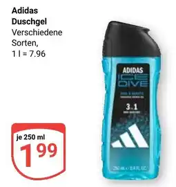 Globus Adidas Duschgel Angebot