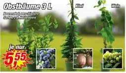 Posten Börse Obstbäume 3L Angebot