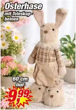 Posten Börse Osterhase Angebot