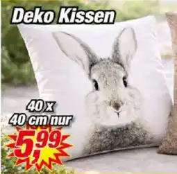 Posten Börse Deko Kissen Angebot