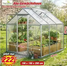 Posten Börse Top Flora Alu-Gewächshaus Angebot