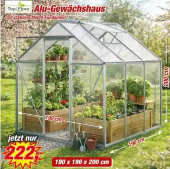 Posten Börse Top Flora Alu-Gewächshaus Angebot