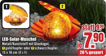 B1 Discount Baumarkt LED-Solar-Muschel Angebot