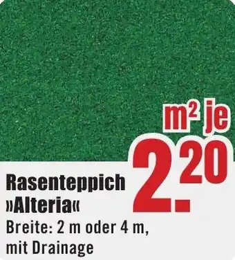 B1 Discount Baumarkt Rasenteppich Alteria Angebot