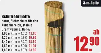 B1 Discount Baumarkt Schilfrohrmatte Angebot