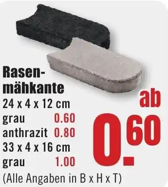 B1 Discount Baumarkt Rasenmähkante Angebot