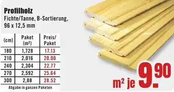 B1 Discount Baumarkt Profilholz Angebot