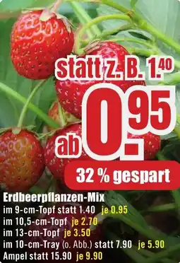 B1 Discount Baumarkt Erdbeerpflanzen-Mix Angebot