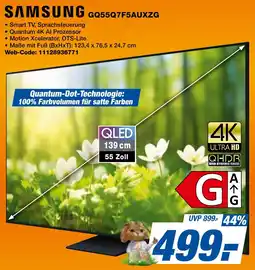 expert Techno Land SAMSUNG GQ55Q7F5AUXZG Angebot