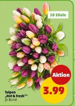 PENNY Tulpen Hot & Fresh* je Bund Angebot