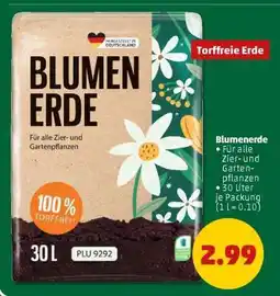 PENNY BLUMEN ERDE Angebot