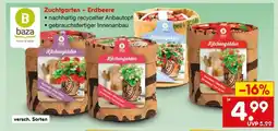 Netto Marken-Discount Zuchtgarten – Erdbeere Angebot