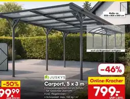 Netto Marken-Discount Carport 5 x 3 m Angebot
