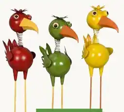 Pflanzen Kölle Vogel Angebot