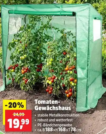 Thomas Philipps Tomaten Gewächshaus Angebot