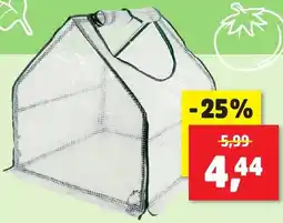 Thomas Philipps Mini-Gewächshaus Angebot