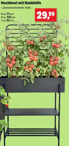 Thomas Philipps Hochbeet mit Rankhilfe Angebot