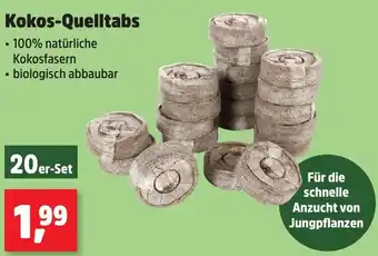 Thomas Philipps Kokos-Quelltabs Angebot