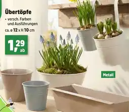 Thomas Philipps Übertöpfe Angebot
