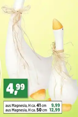 Thomas Philipps Gans Angebot