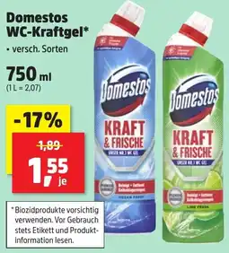 Thomas Philipps Domestos WC-Kraftgel Angebot