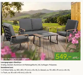 Pflanzen Kölle Loungegruppe >>Destiny<< Angebot