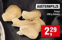 Handelshof AUSTERNPILZE Angebot
