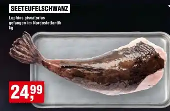 Handelshof SEETEUFELSCHWANZ Angebot