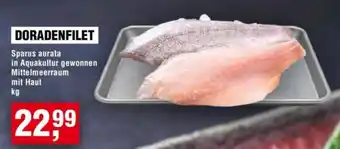Handelshof DORADENFILET Angebot
