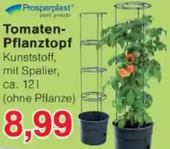 Jawoll Prosperplast Tomaten Pflanztopf Angebot