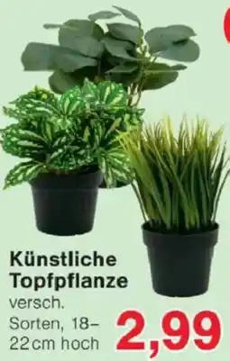 Jawoll Künstliche Topfpflanze Angebot