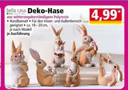 Norma Deko-Hase Angebot