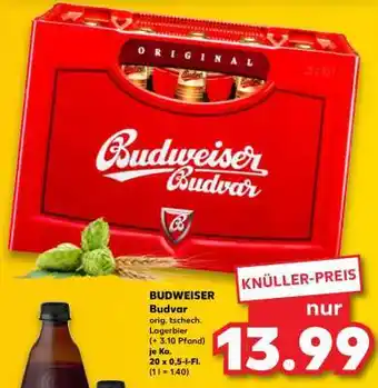 Kaufland Budweiser Budvar Angebot