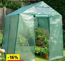 Thomas Philipps Gewächshaus Angebot