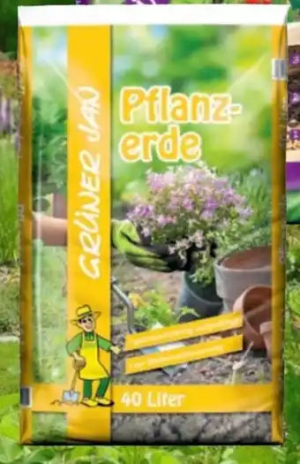 Thomas Philipps Grüner Jan Pflanzerde Angebot