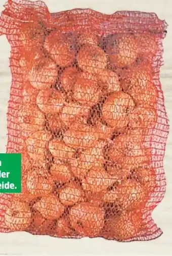 Thomas Philipps Speisezwiebeln XXL Angebot