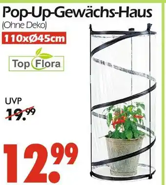Wreesmann Top flora pop-up-gewächs-haus Angebot