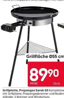 Rusta Grillplatte, propangas sarek gs Angebot