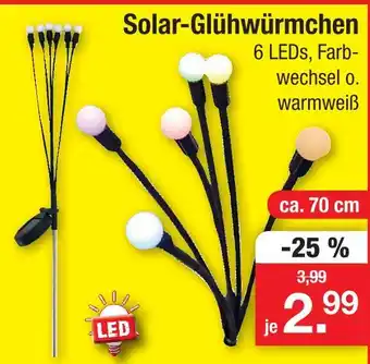 Zimmermann Solar-glühwürmchen Angebot
