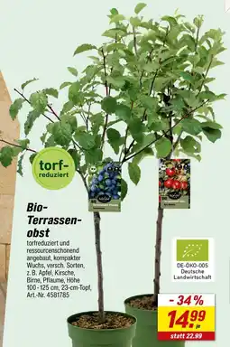 toom Baumarkt Bio-terrassenobst Angebot
