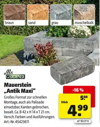 Hagebau Mr. gardener mauerstein antik maxi Angebot
