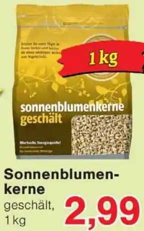 Wiglo Wunderland Sonnenblumenkerne Angebot
