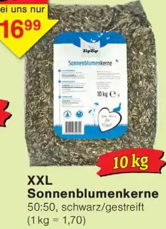 Wiglo Wunderland XXL Sonnenblumenkerne Angebot