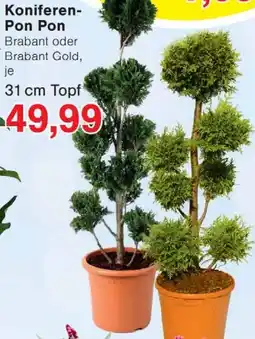Wiglo Wunderland Koniferen Pon Pon Angebot