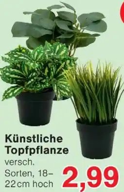 Wiglo Wunderland Künstliche Topfpflanze Angebot