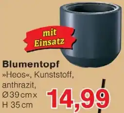 Wiglo Wunderland Blumentopf Angebot